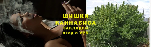 spice Абаза