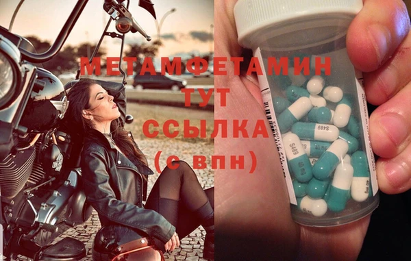 прущие грибы Абдулино