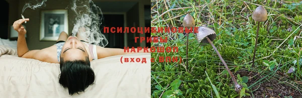прущая мука Алзамай