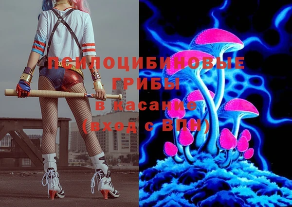 прущие грибы Абдулино